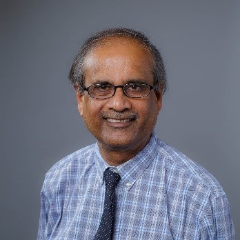 Profesor Partha Lahiri